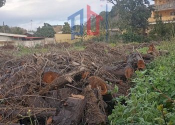 Foto 4 - Terreno edificabile Via Mar Noto, Ardea - foto 4