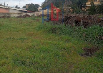 Foto 3 - Terreno edificabile Via Mar Noto, Ardea - foto 3