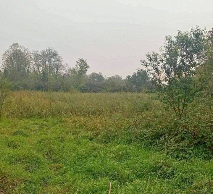 Foto 1 - Agricultural land Cassano d'Adda - photo 1