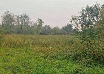 Foto 1 - Agricultural land Cassano d'Adda - photo 1