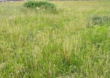 Foto 1 - Terreno edificabile VIA BACCANELLO, Terno d'Isola - foto 1