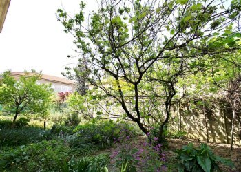 Foto 25 - Villa via enrico toti, Agrate Brianza - foto 25