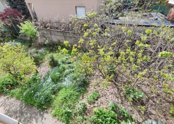 Foto 54 - Villa via enrico toti, Agrate Brianza - foto 54