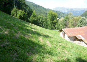 giardino - Casa indipendente Castel Condino - foto 4