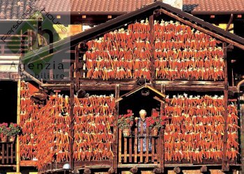 Foto 10 - Rustico via Faserno, Storo - foto 10