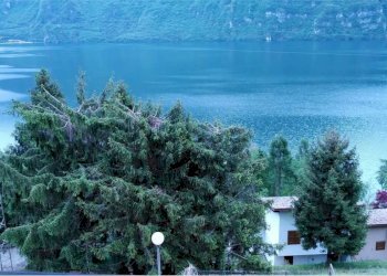 vista - Semi-detached Villa Anfo - photo 10