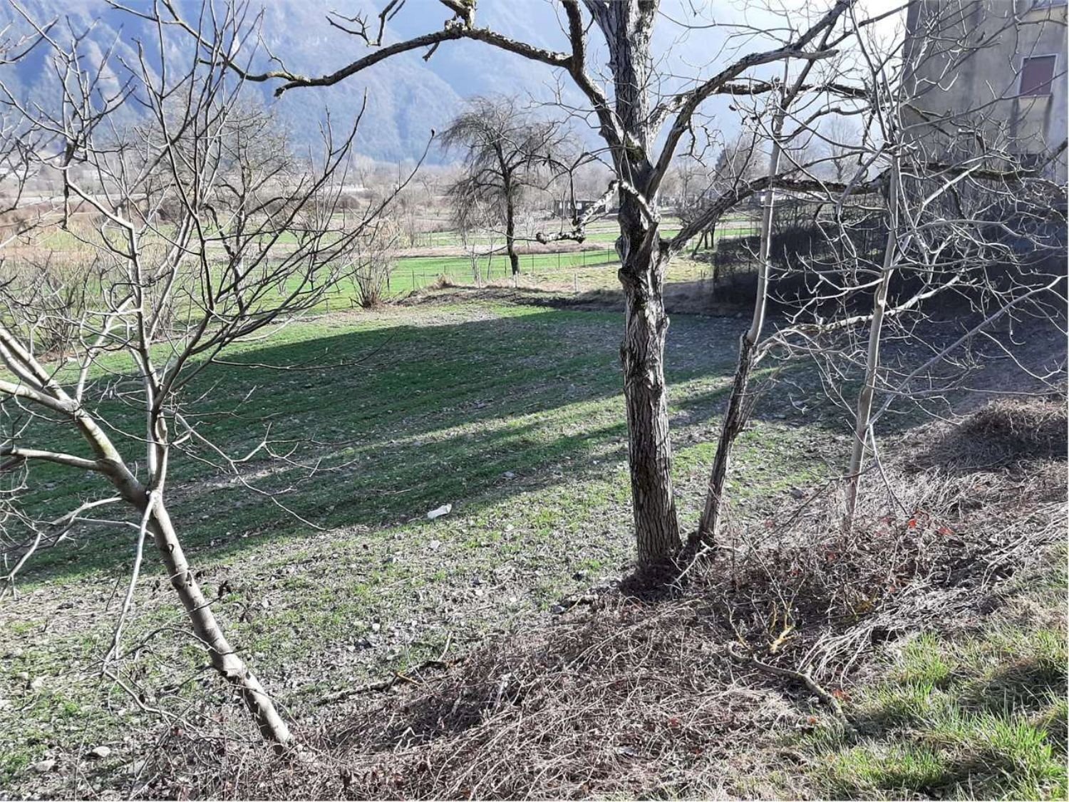 Foto 2 - Terreno edificabile Tenente Costantino Marini
 
1, Storo - foto 2