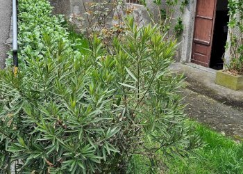 Foto 3 - Villa Bifamiliare VIA 24 MAGGIO
 
6, Storo - foto 3