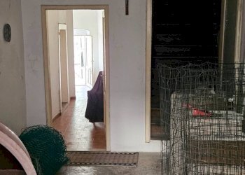 Foto 5 - Semi-detached house VIA BRIGATA LUPI, Castel Condino - photo 5