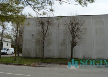 Foto 6 - Capannone Via Torino
53/55, Olgiate Comasco - foto 6