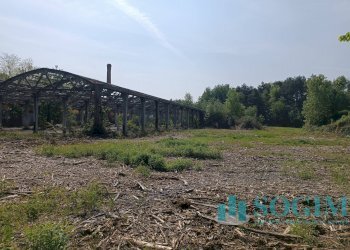 Esterno_10 - Terreno edificabile Via della Fornace
1, Oltrona di San Mamette - foto 14