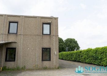 Esterno - Capannone via E. Tarantelli
 
17, Mozzate - foto 21