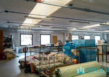 laboratorio primo piano_4 - Capannone Via Lancini
 
10, San Fermo della Battaglia - foto 14