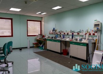 Ufficio_2 - Capannone Via Falcone, Mozzate - foto 20