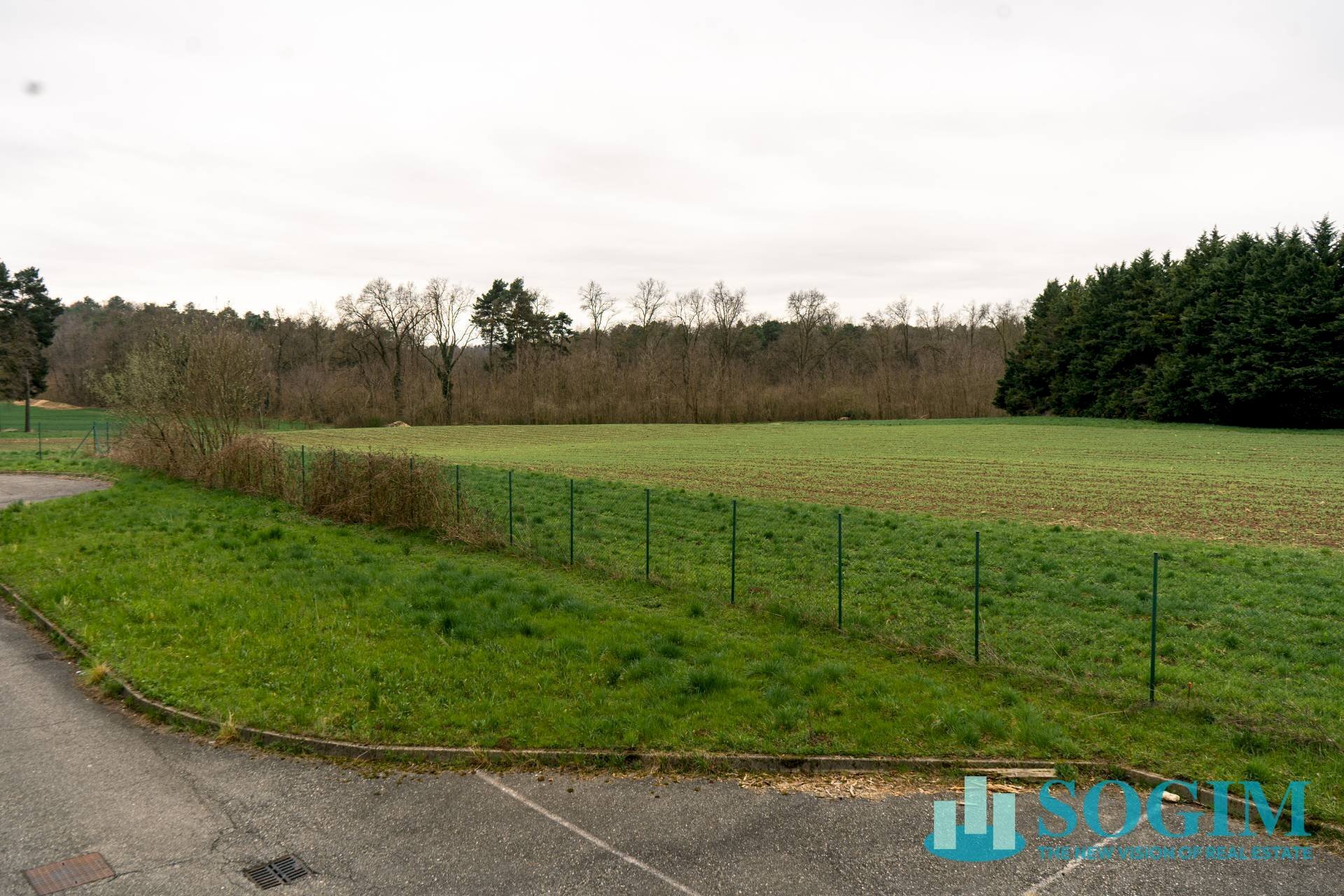 Terreno_1 - Terreno edificabile Viale Trieste
14, Olgiate Comasco - foto 2