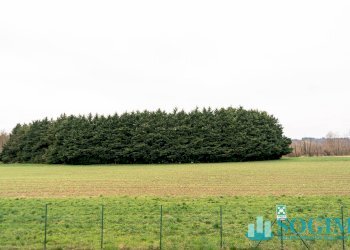 Terreno_2 - Terreno edificabile Viale Trieste
14, Olgiate Comasco - foto 3