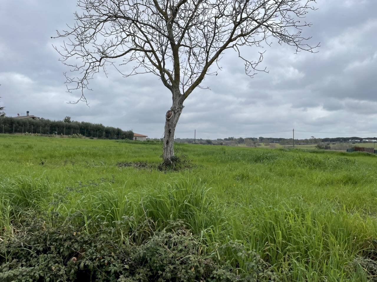 Foto 2 - Building land Via Giuseppe Pomba
 
SNC, Roma - photo 2