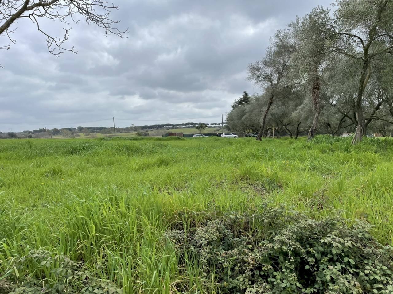 Foto 3 - Building land Via Giuseppe Pomba
 
SNC, Roma - photo 3