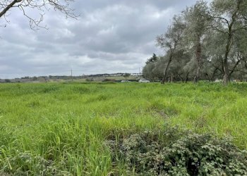 Foto 3 - Building land Via Giuseppe Pomba
SNC, Roma - photo 3