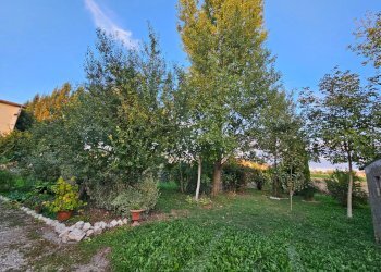 Foto 4 - Casa semi indipendente Mirandola - foto 4