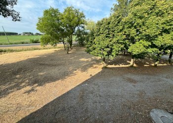 Foto 9 - Independent house Mirandola - photo 9