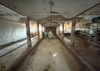 Foto 22 - Independent house Mirandola - photo 22