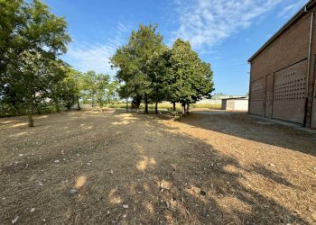 Foto 25 - Independent house Mirandola - photo 25