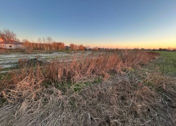 Foto 8 - Rustico Mirandola - foto 8