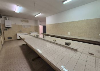 Foto 16 - Laboratorio Via Dei Caduti
 
20/a, Corteolona e Genzone - foto 16