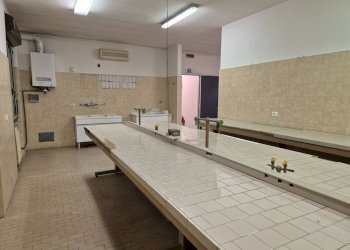 Foto 18 - Laboratorio Via Dei Caduti
 
20/a, Corteolona e Genzone - foto 18