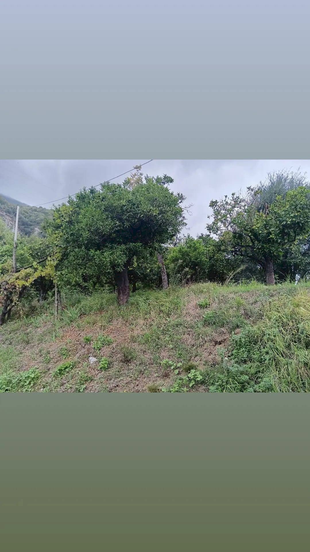 Foto 1 - Terreno agricolo VIA MONTALBINO
 
550, Nocera Inferiore - foto 1