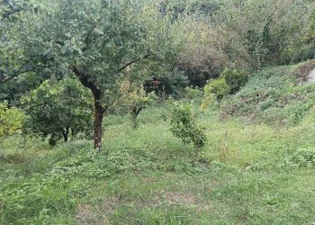 Foto 4 - Agricultural land VIA MONTALBINO
550, Nocera Inferiore - photo 4