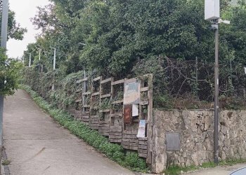 Foto 5 - Agricultural land VIA MONTALBINO
550, Nocera Inferiore - photo 5