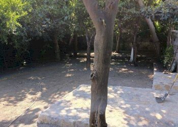 Foto 1 - Trilocale VIA MARCO LEVI BIANCHINI
 
41, Nocera Inferiore - foto 1