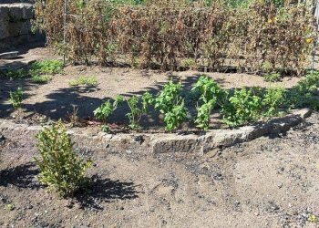 Foto 5 - Trilocale VIA MARCO LEVI BIANCHINI
 
41, Nocera Inferiore - foto 5