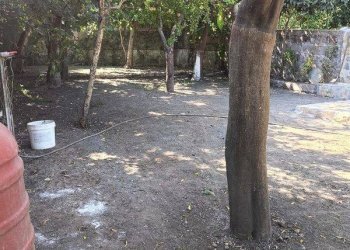 Foto 22 - Trilocale VIA MARCO LEVI BIANCHINI
 
41, Nocera Inferiore - foto 22