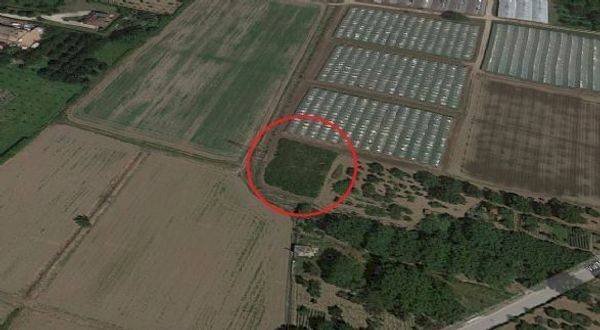 Foto 1 - Terreno agricolo VIA MACCHIONI
 
S.N.C, Nocera Inferiore - foto 1