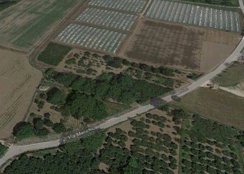 Foto 3 - Agricultural land VIA MACCHIONI
S.N.C, Nocera Inferiore - photo 3