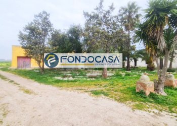 Foto 3 - Terreno edificabile Contrada Cefalo Nuovo
snc, Brindisi - foto 3