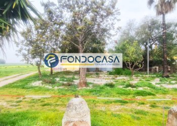 Foto 4 - Terreno edificabile Contrada Cefalo Nuovo
snc, Brindisi - foto 4