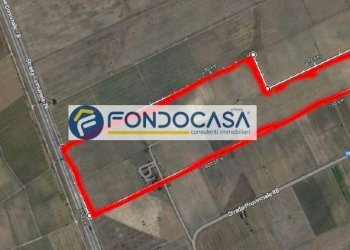 Foto 6 - Terreno edificabile Contrada Cefalo Nuovo
snc, Brindisi - foto 6