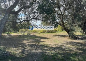 Foto 1 - Terreno edificabile Via degli oleandri, Brindisi - foto 1