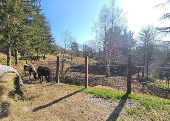 Foto 34 - Rustico Via Paleologo, Altare - foto 34