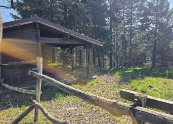 Foto 41 - Rustico Via Paleologo, Altare - foto 41