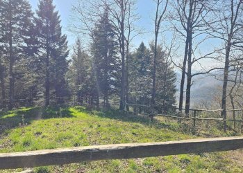 Foto 42 - Rustico Via Paleologo, Altare - foto 42