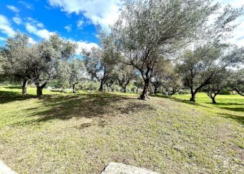 Foto 26 - Quadrilocale BORGO DEGLI ERCHI, Albisola Superiore - foto 26