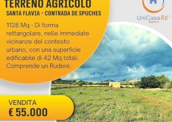 Foto 1 - Agricultural land Santa Flavia - photo 1