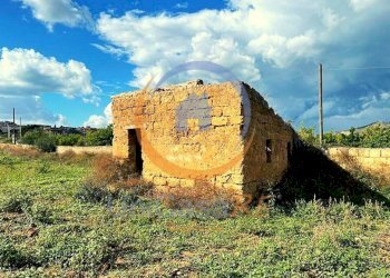 Foto 3 - Agricultural land Santa Flavia - photo 3