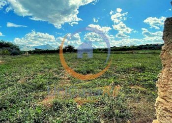 Foto 4 - Agricultural land Santa Flavia - photo 4