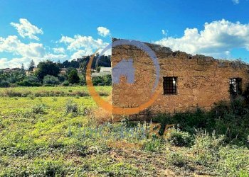 Foto 6 - Agricultural land Santa Flavia - photo 6